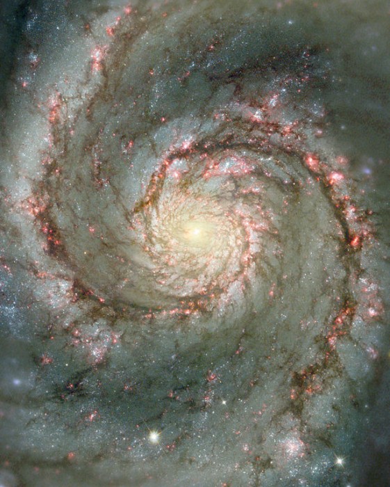 M51, la Galaxie du Tourbillon, un exemple typique de galaxie spirale.